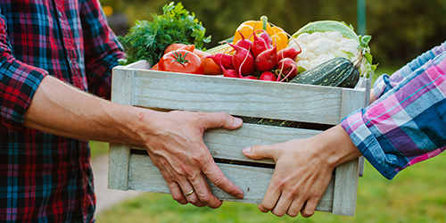 wooden box with farm vegetables in the hands of men and women, close-up.