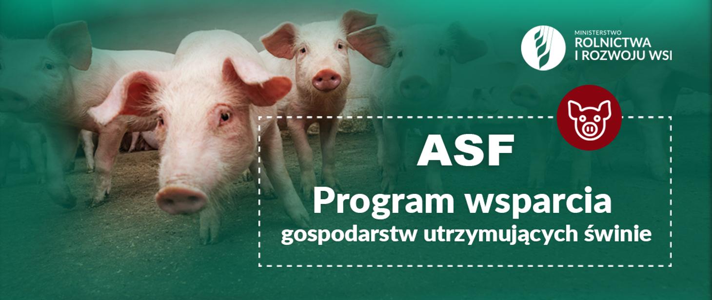 ASF Program wsparcia