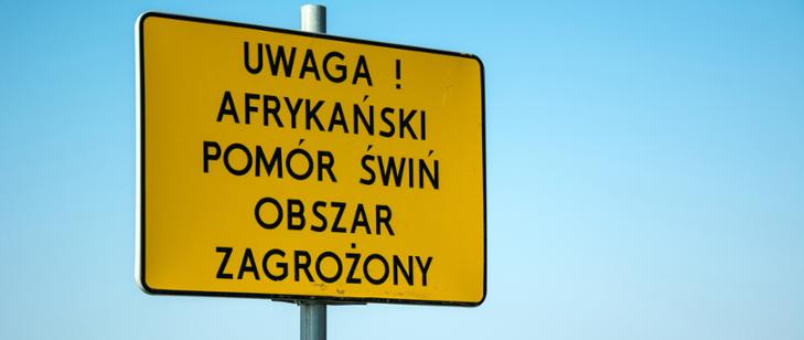 uwaga afrykański pomór świń obszar zagrożony