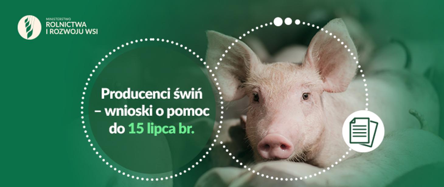 producenci świn wnioski o pomoc