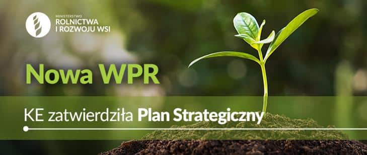 wpr ke zatwierdziła plan strategiczny